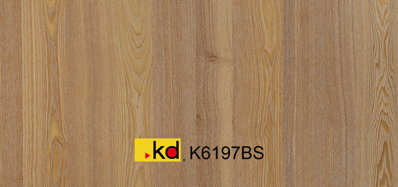 K6197BS