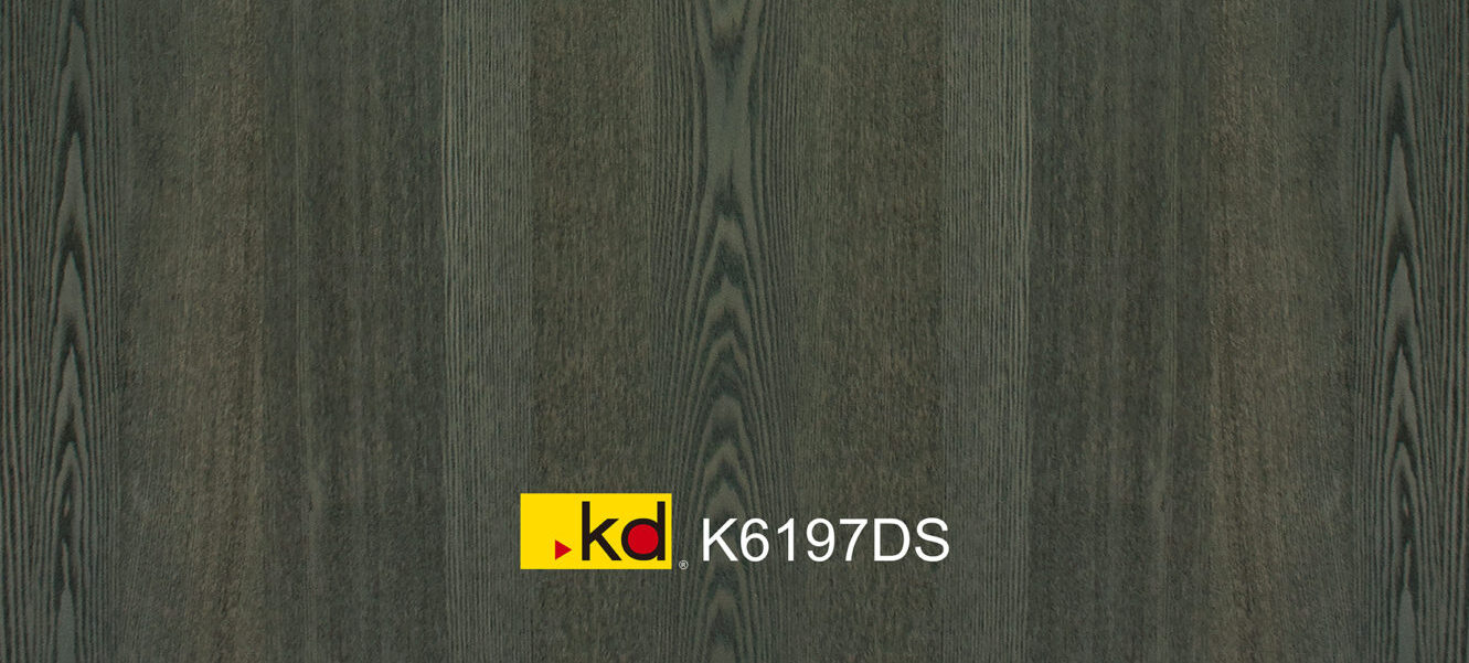 K6197DS