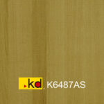 K6487AS